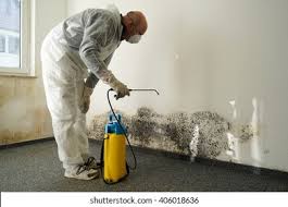 Best Mold Removal for HVAC Installations in Lake Wylie, SC